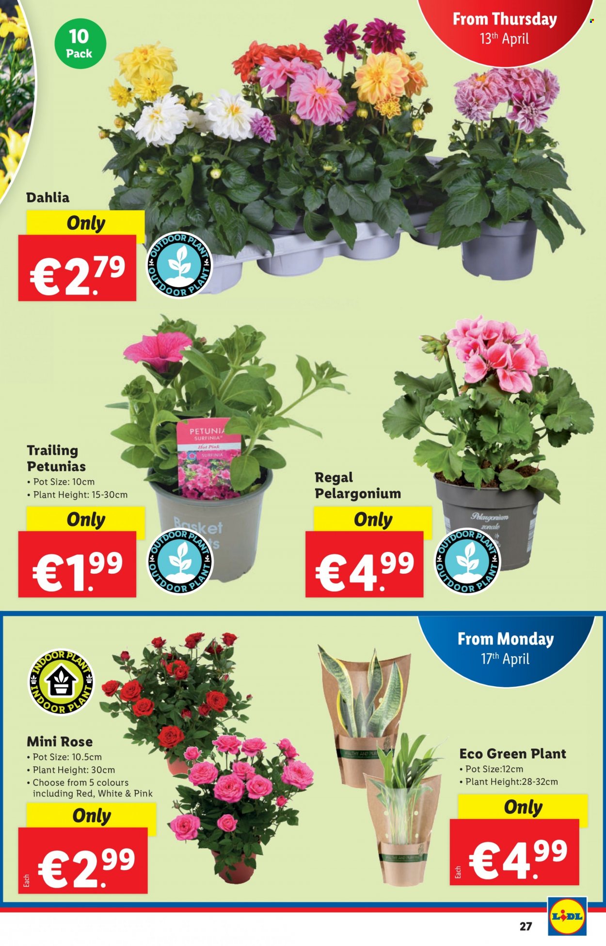 Lidl offer - 13.04.2023 - 19.04.2023. Page 27