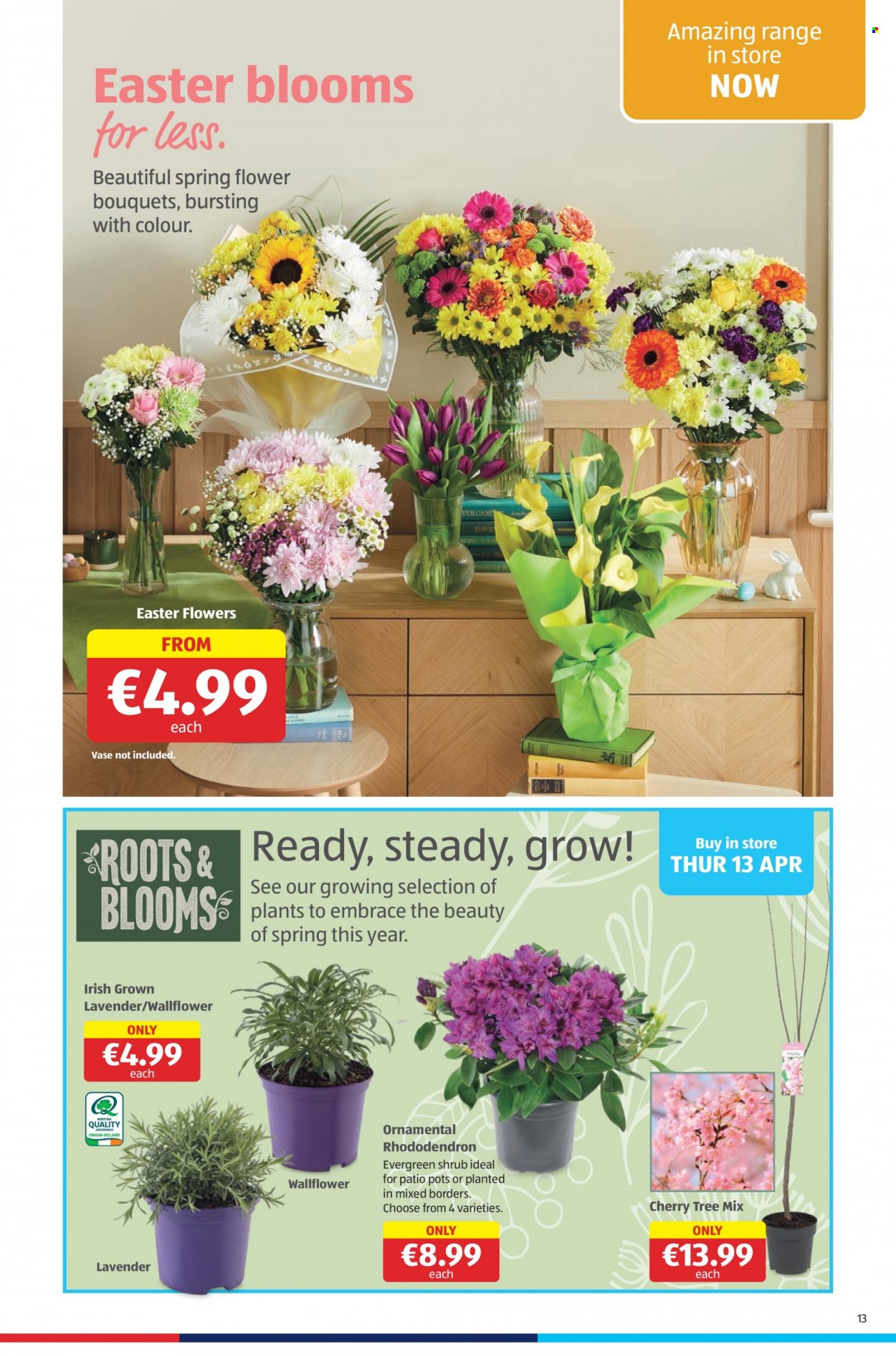 Aldi offer - 13.04.2023 - 19.04.2023. Page 13