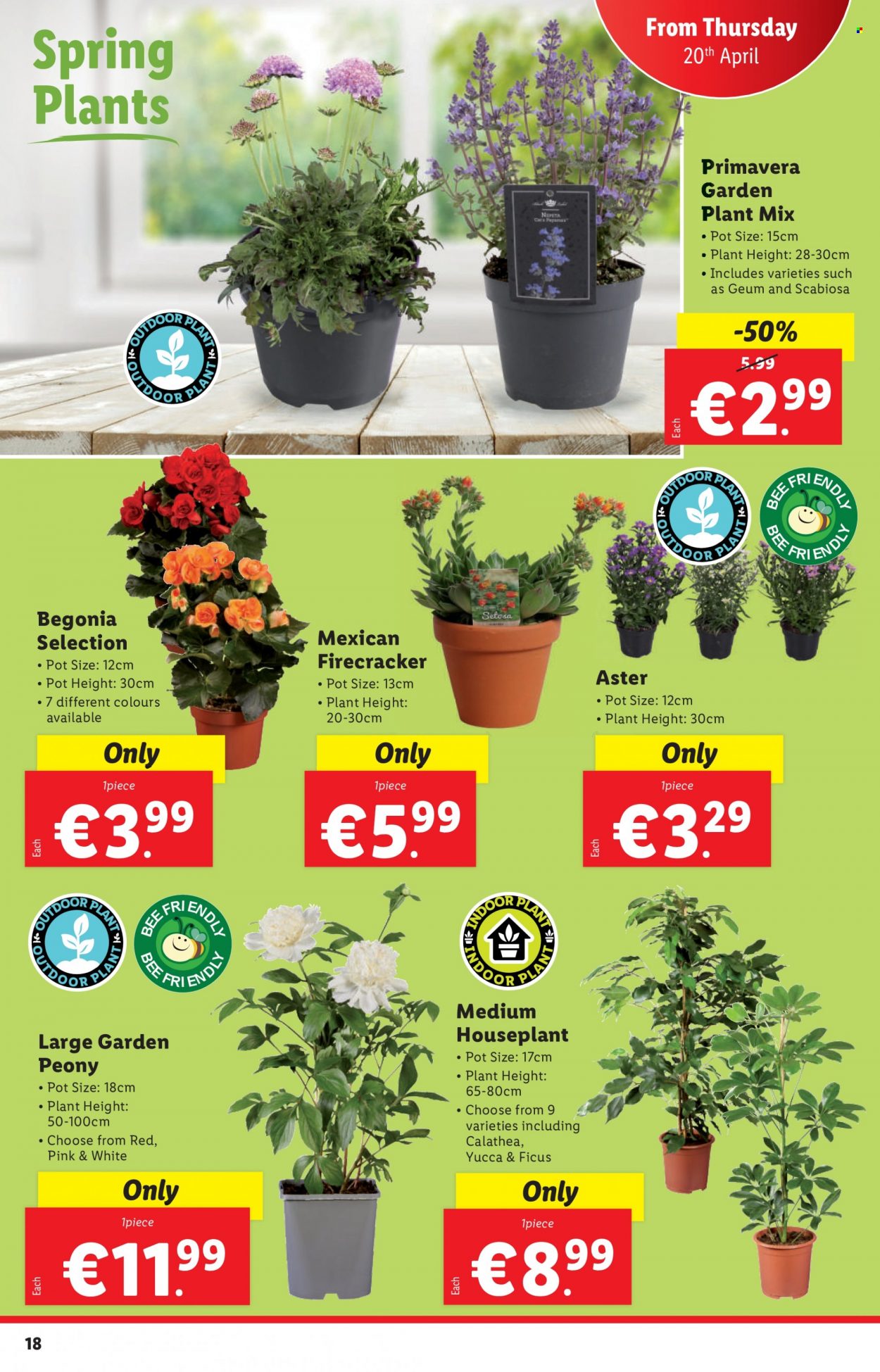 Lidl offer - 20.04.2023 - 26.04.2023. Page 18