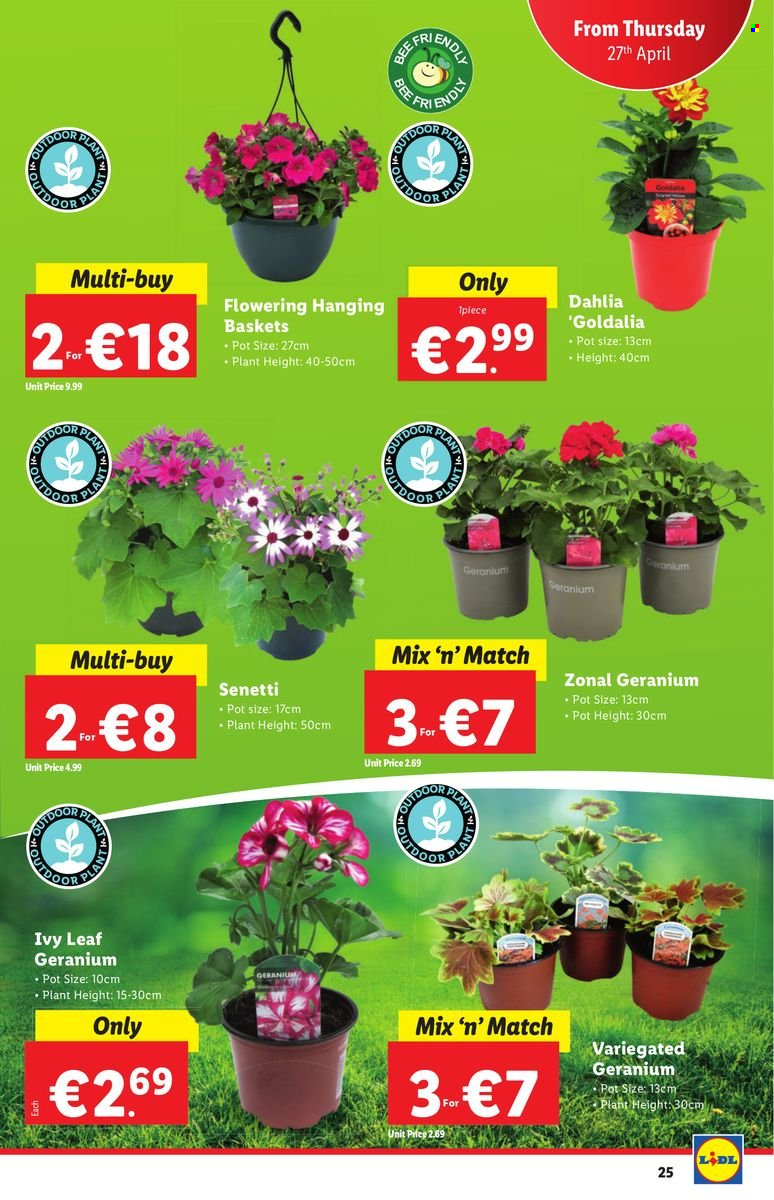 Lidl offer - 27.03.2023 - 03.05.2023. Page 24