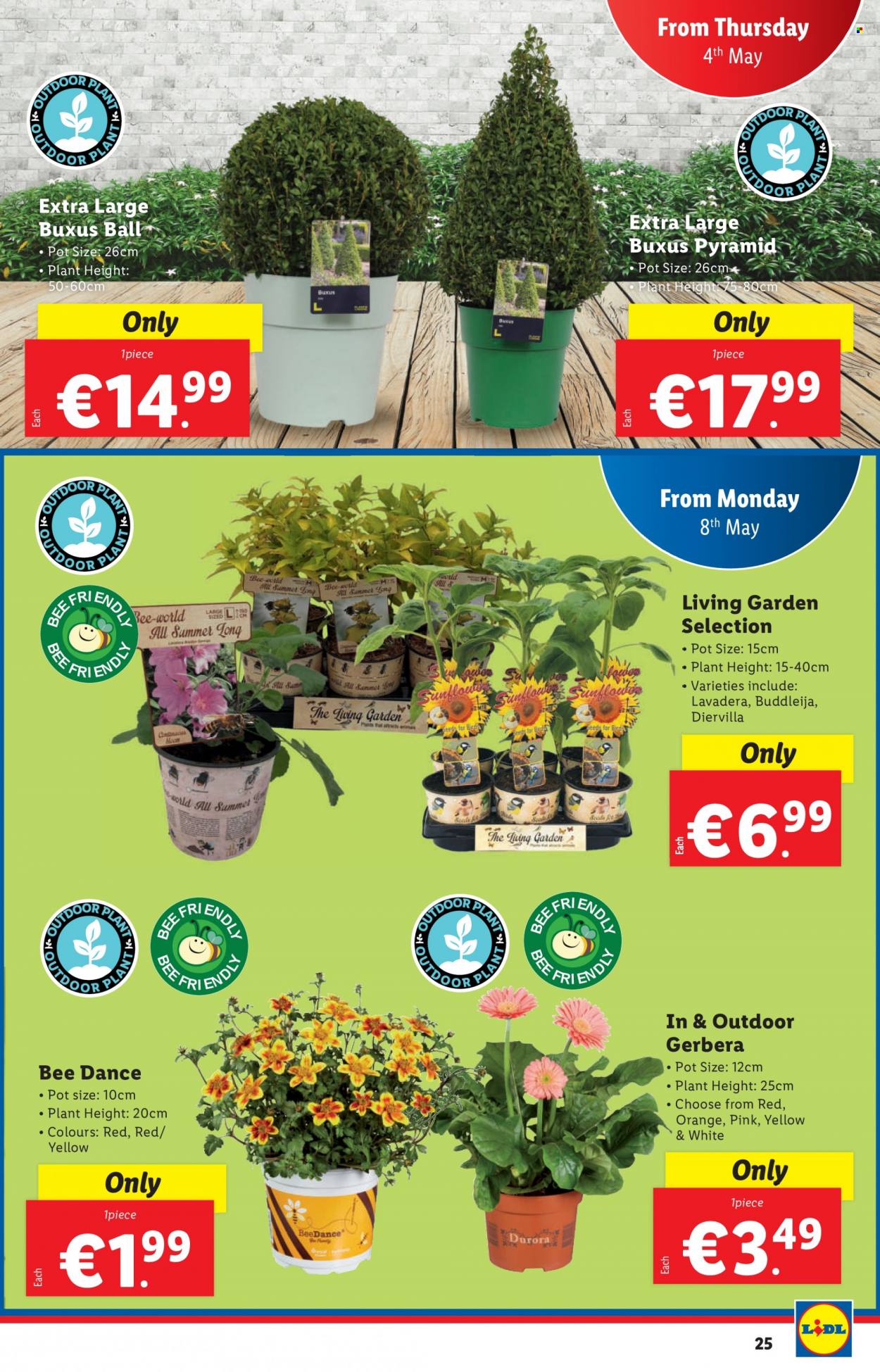 Lidl offer - 04.05.2023 - 10.05.2023. Page 25