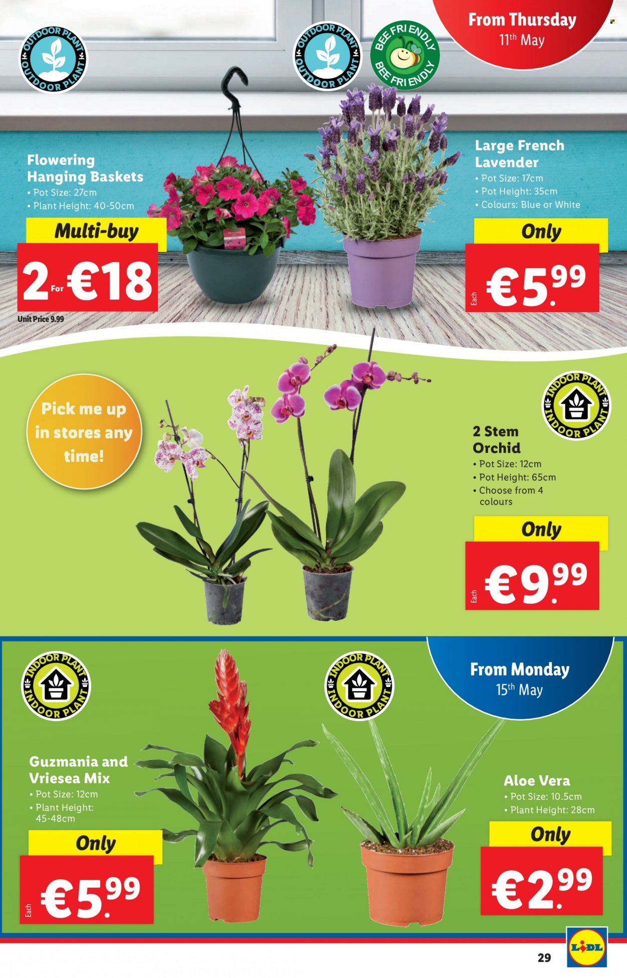 Lidl offer - 11.05.2023 - 17.05.2023. Page 29
