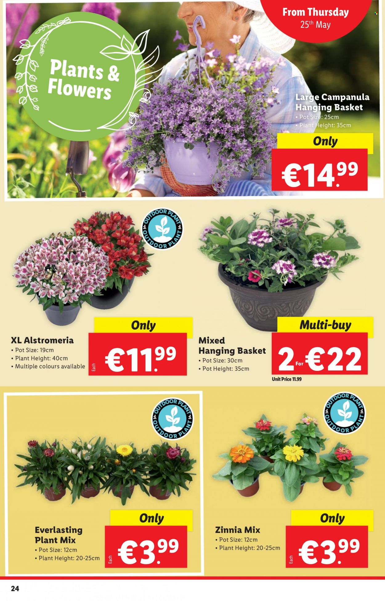 Lidl offer - 25.05.2023 - 31.05.2023. Page 24