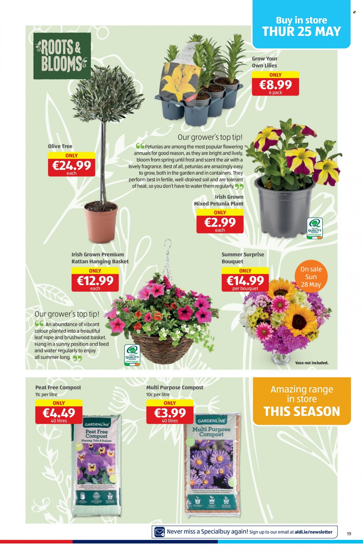Aldi offer - 25.05.2023 - 31.05.2023. Page 19