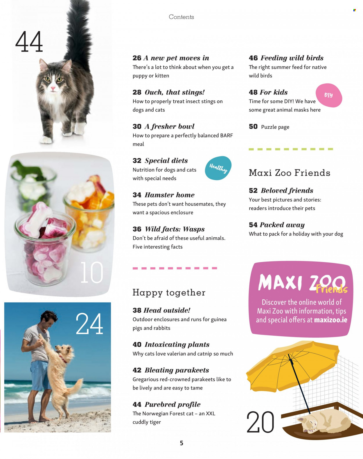 thumbnail - Maxi Zoo offer  - Sales products - bowl. Page 5.