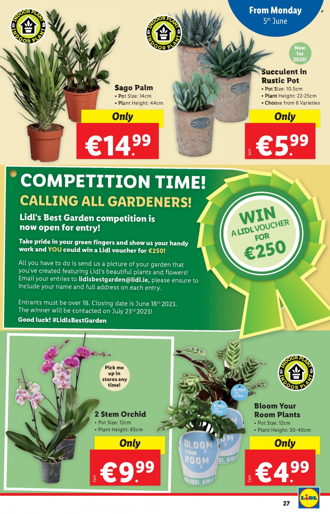 Lidl offer - 01.06.2023 - 07.06.2023. Page 27