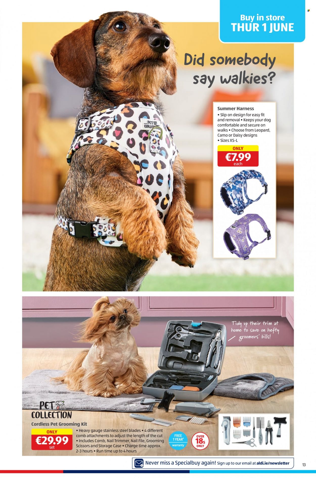 thumbnail - Aldi offer  - 01.06.2023 - 07.06.2023 - Sales products - comb, Hefty, trimmer, nail trimmer, scissors. Page 13.