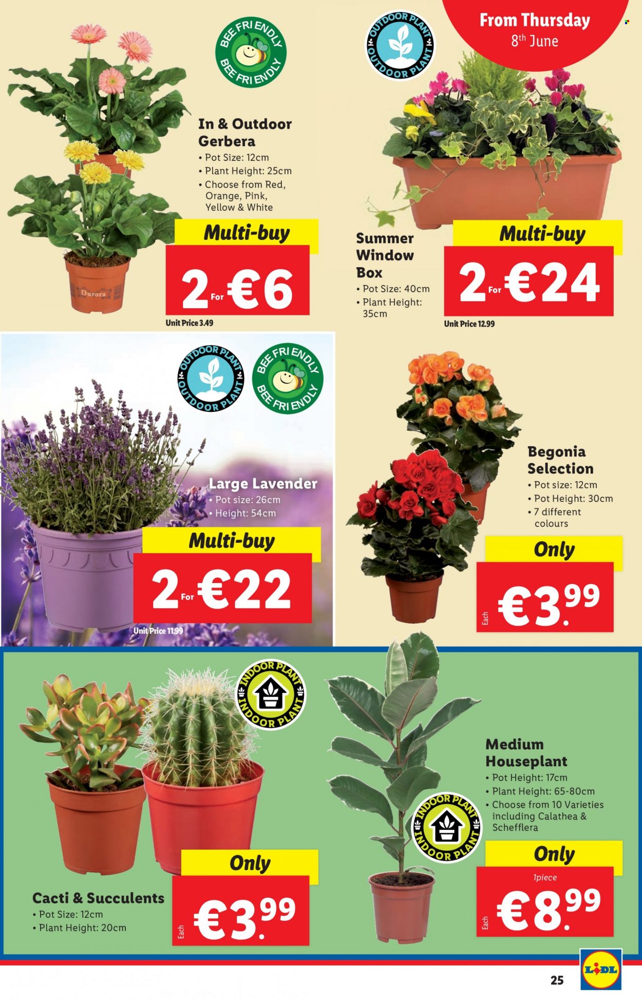 Lidl offer - 08.06.2023 - 14.06.2023. Page 25