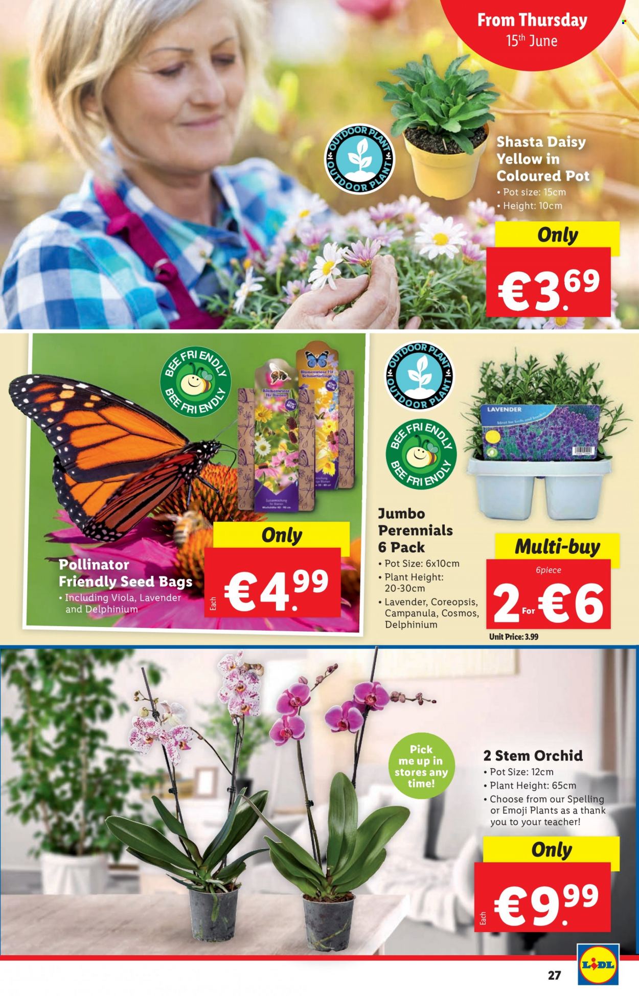 Lidl offer - 15.06.2023 - 21.06.2023. Page 27