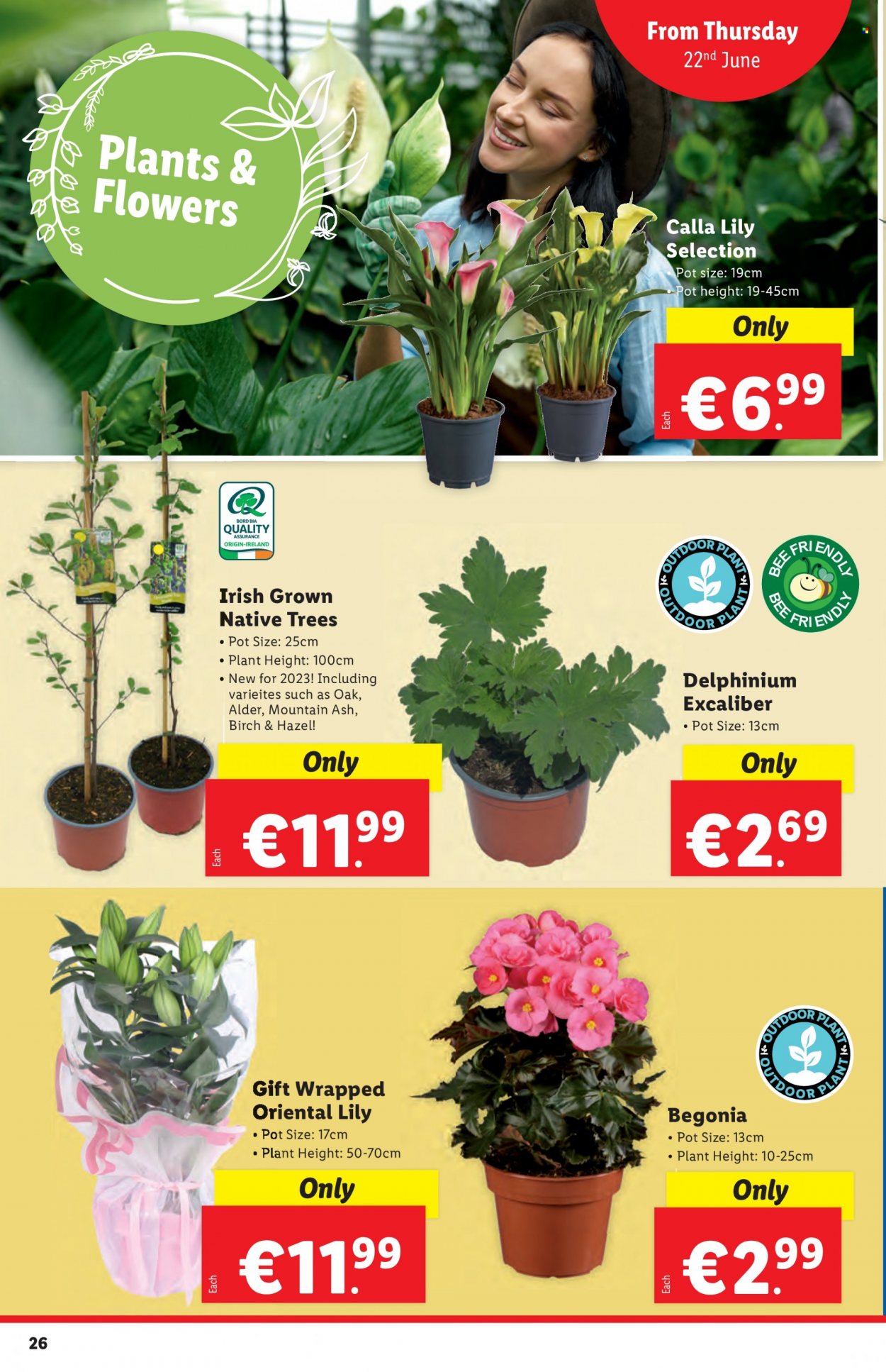 Lidl offer - 22.06.2023 - 28.06.2023. Page 26