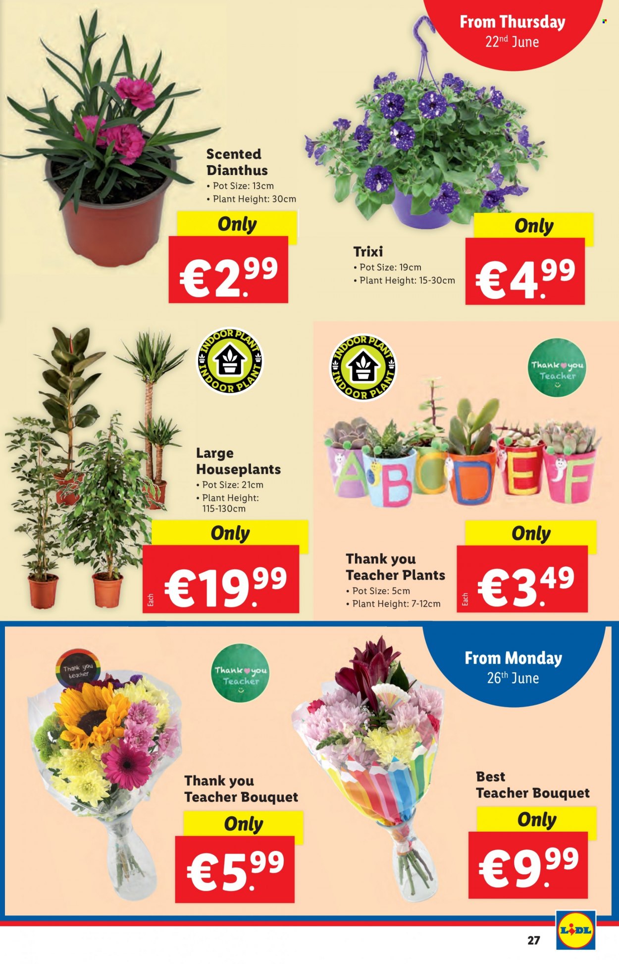 Lidl offer - 22.06.2023 - 28.06.2023. Page 27
