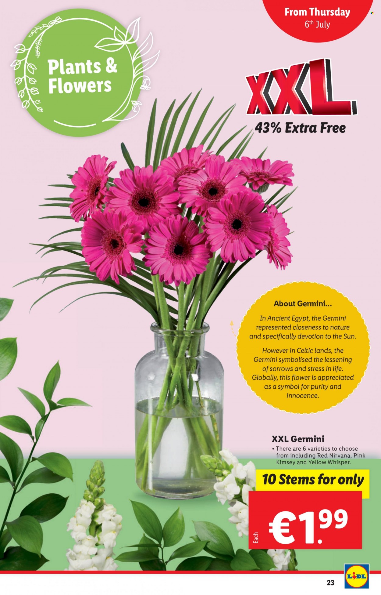 Lidl offer - 06.07.2023 - 12.07.2023. Page 23