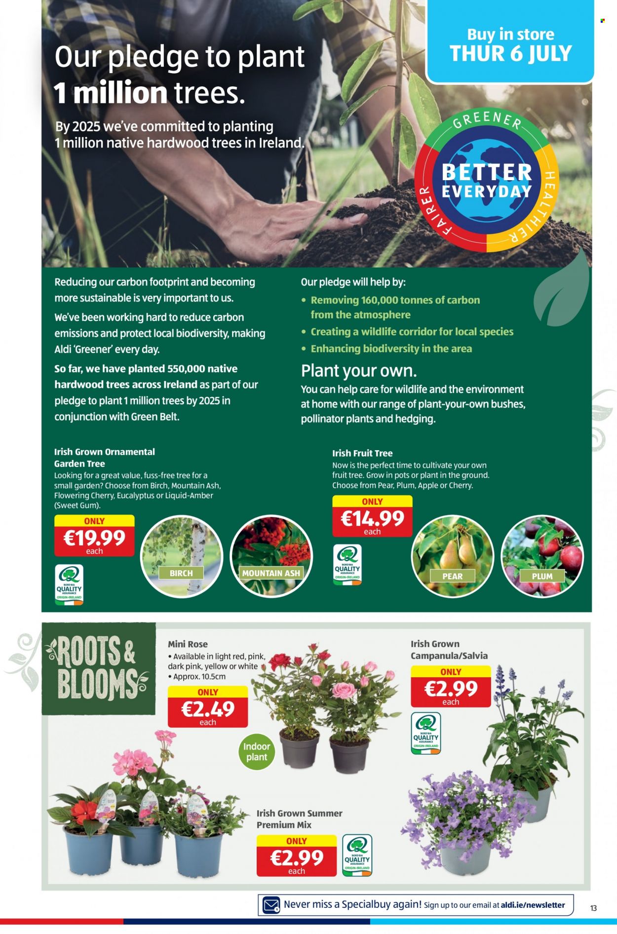 Aldi offer - 06.06.2023 - 12.07.2023. Page 13
