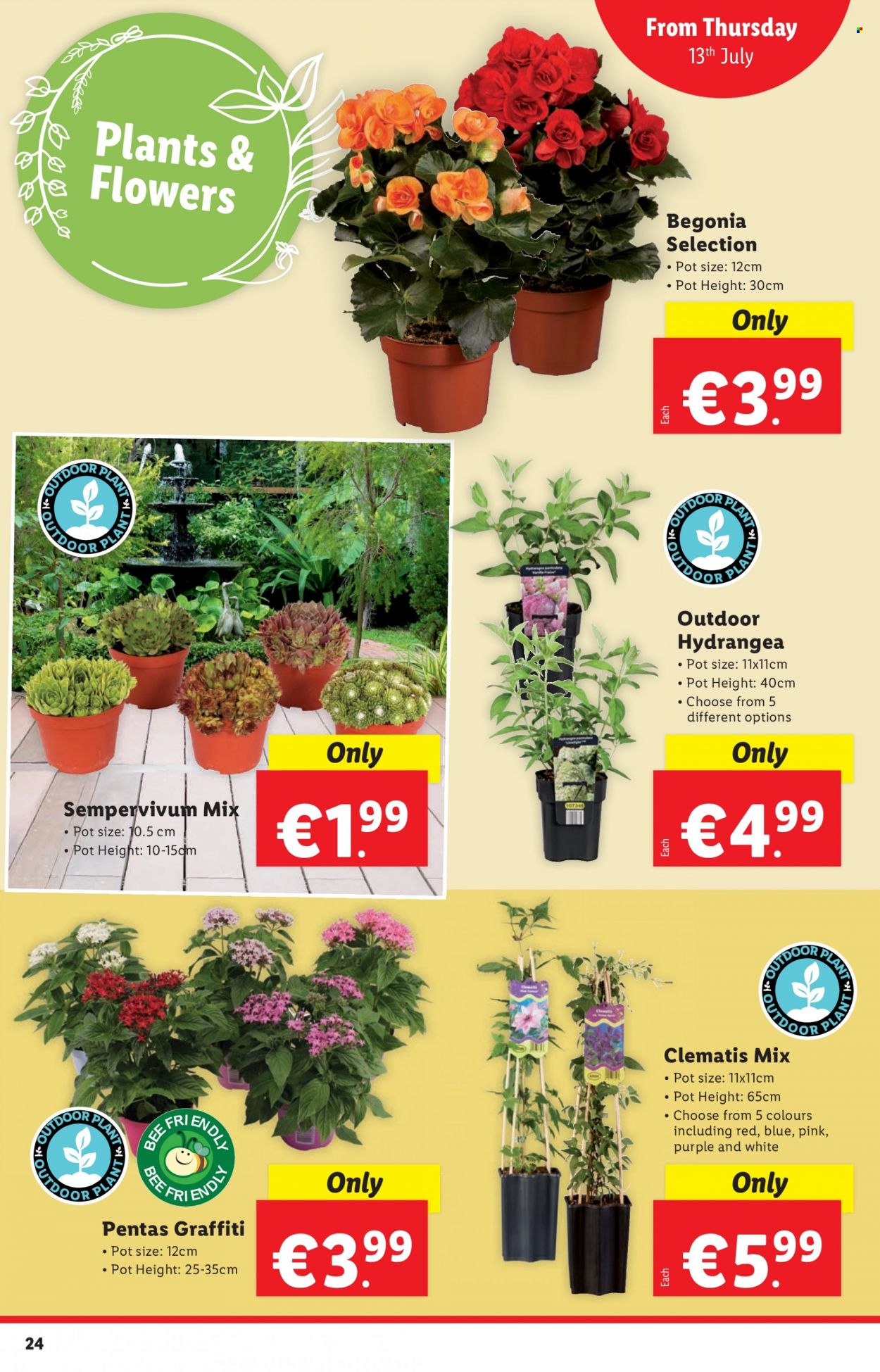 Lidl offer - 13.07.2023 - 19.07.2023. Page 24