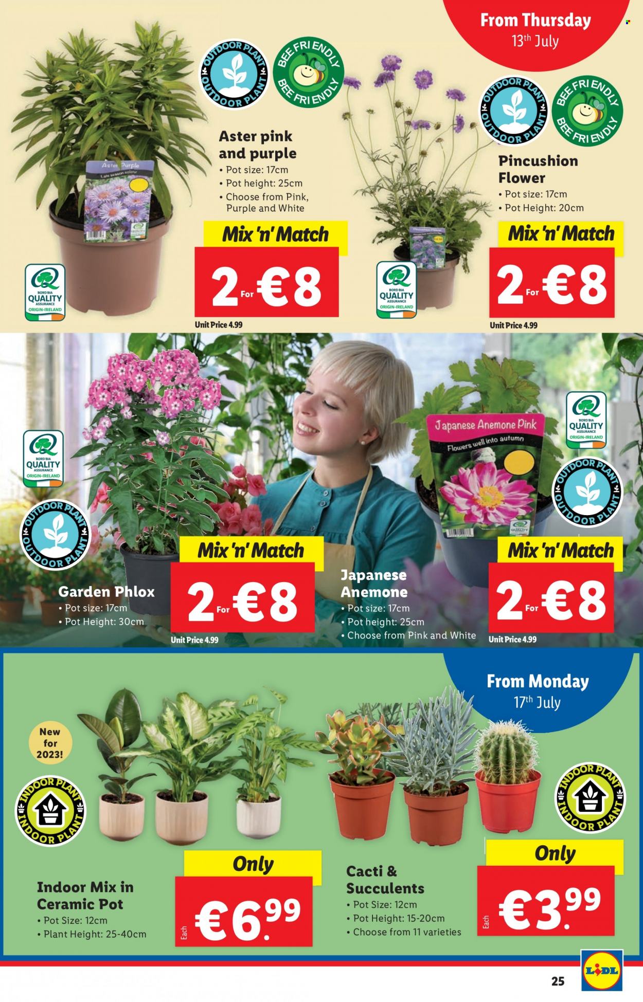 Lidl offer - 13.07.2023 - 19.07.2023. Page 25