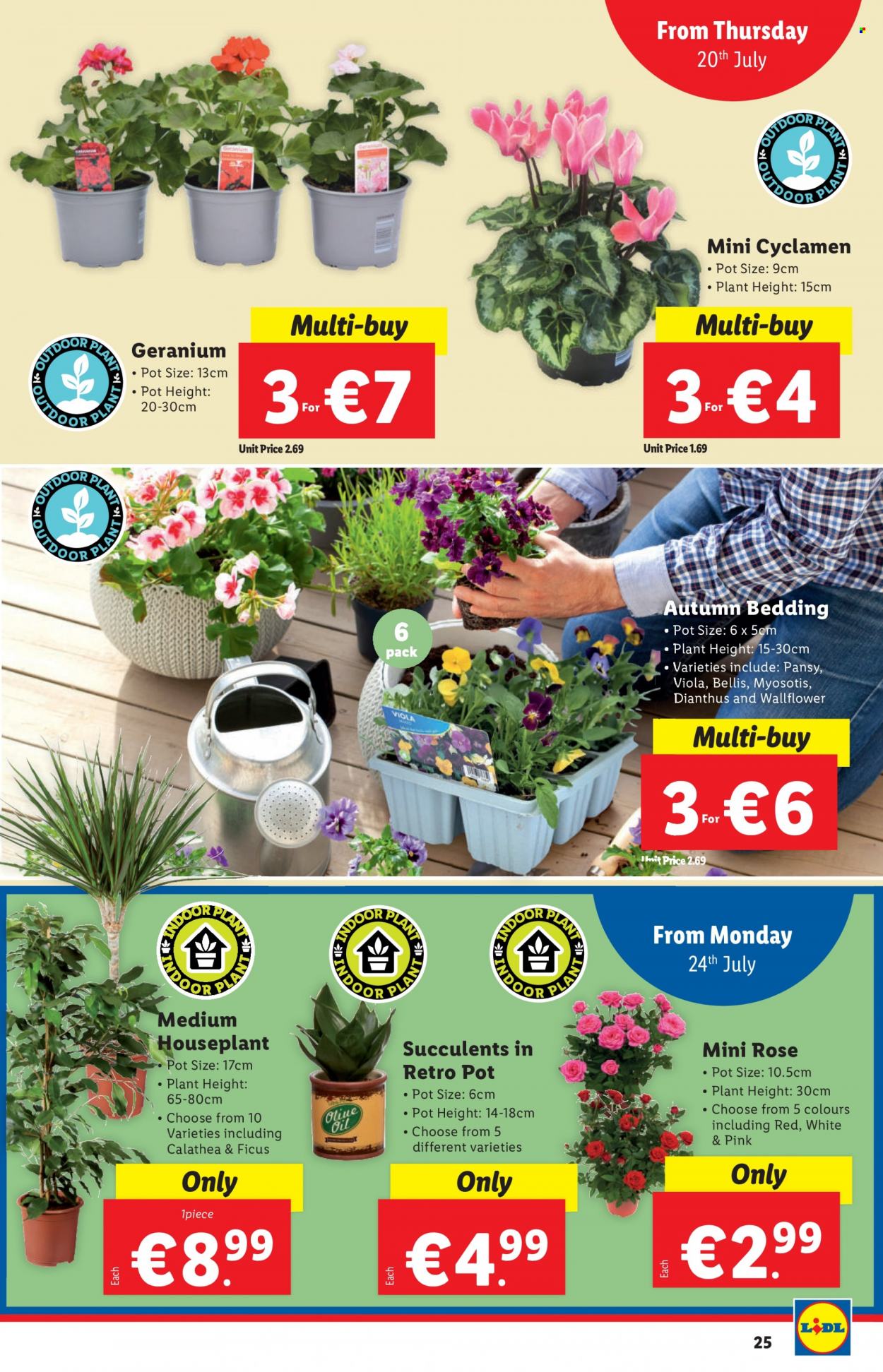 Lidl offer - 20.07.2023 - 26.07.2023. Page 25