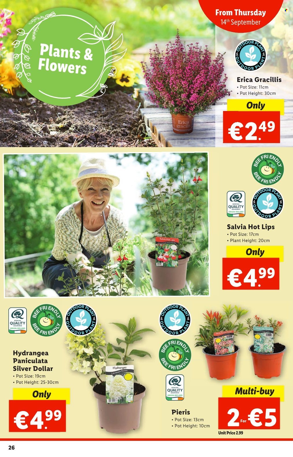 Lidl offer - 14.09.2023 - 20.09.2023. Page 19