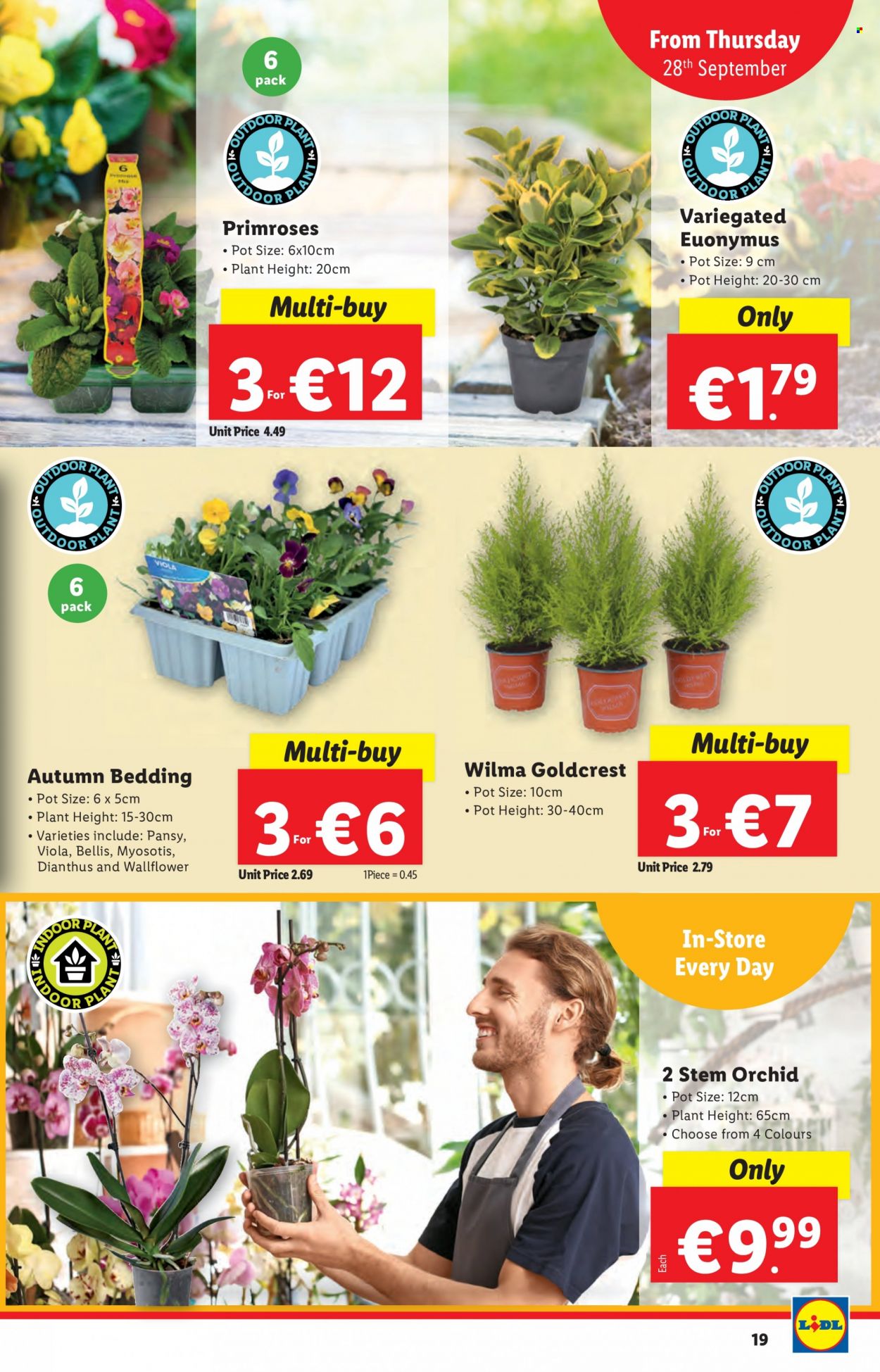 Lidl offer - 28.09.2023 - 04.10.2023. Page 19