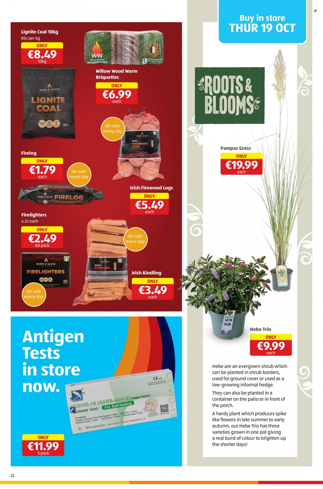 Aldi offer - 19.10.2023 - 25.10.2023. Page 22