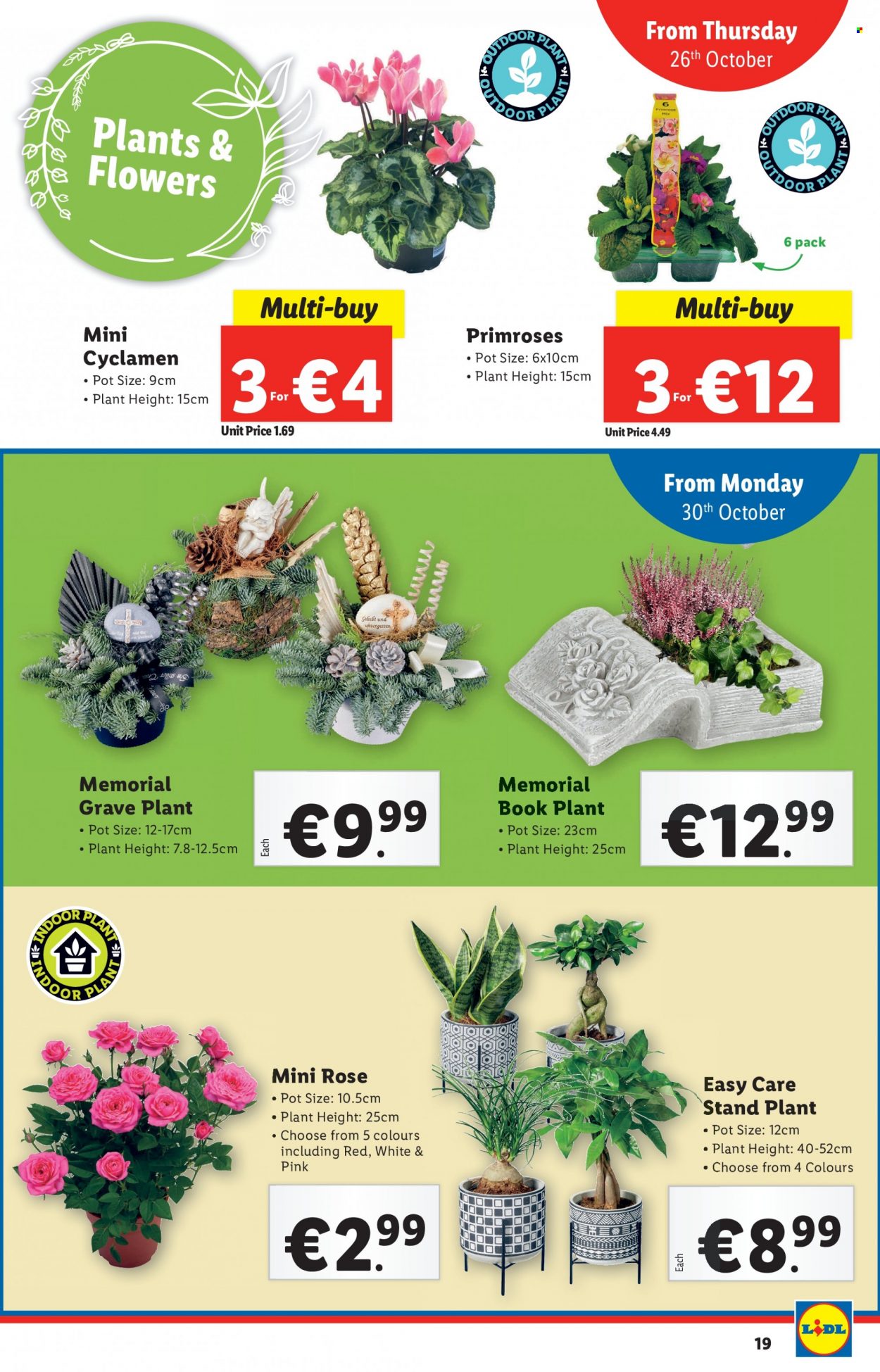 Lidl offer - 26.10.2023 - 01.11.2023. Page 19