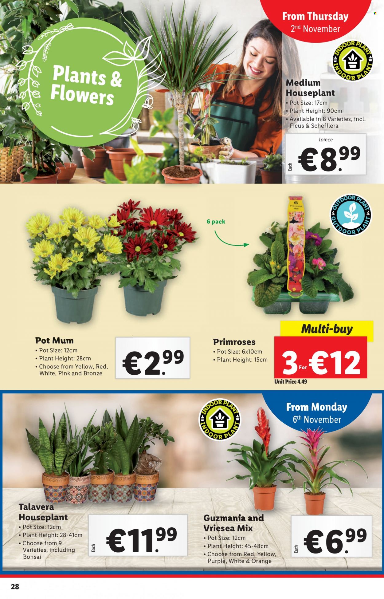 Lidl offer - 02.11.2023 - 08.11.2023. Page 28