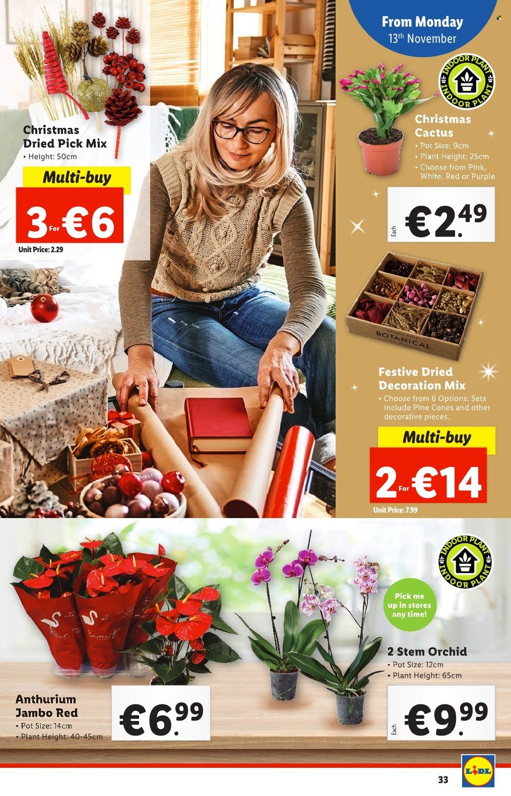Lidl offer - 09.11.2023 - 15.11.2023. Page 33
