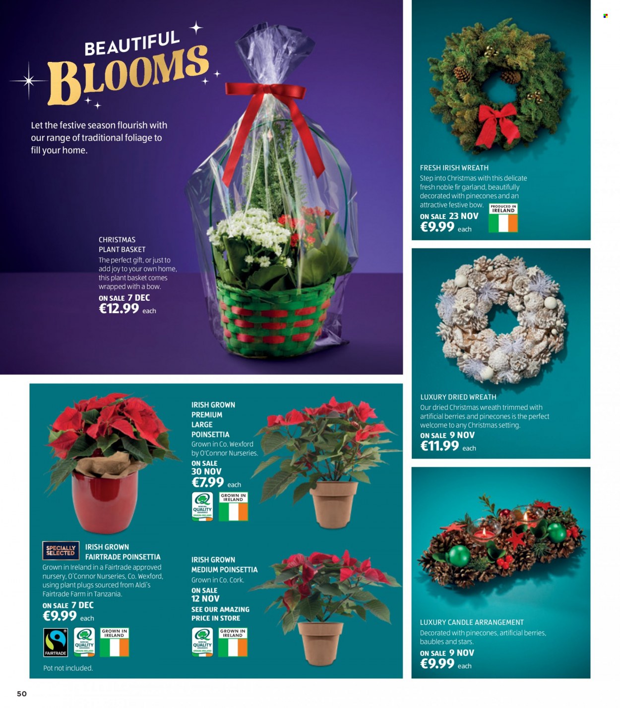 Aldi offer. Page 50