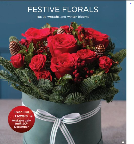 Dunnes Stores offer - 06.11.2023 - 24.12.2023. Page 38