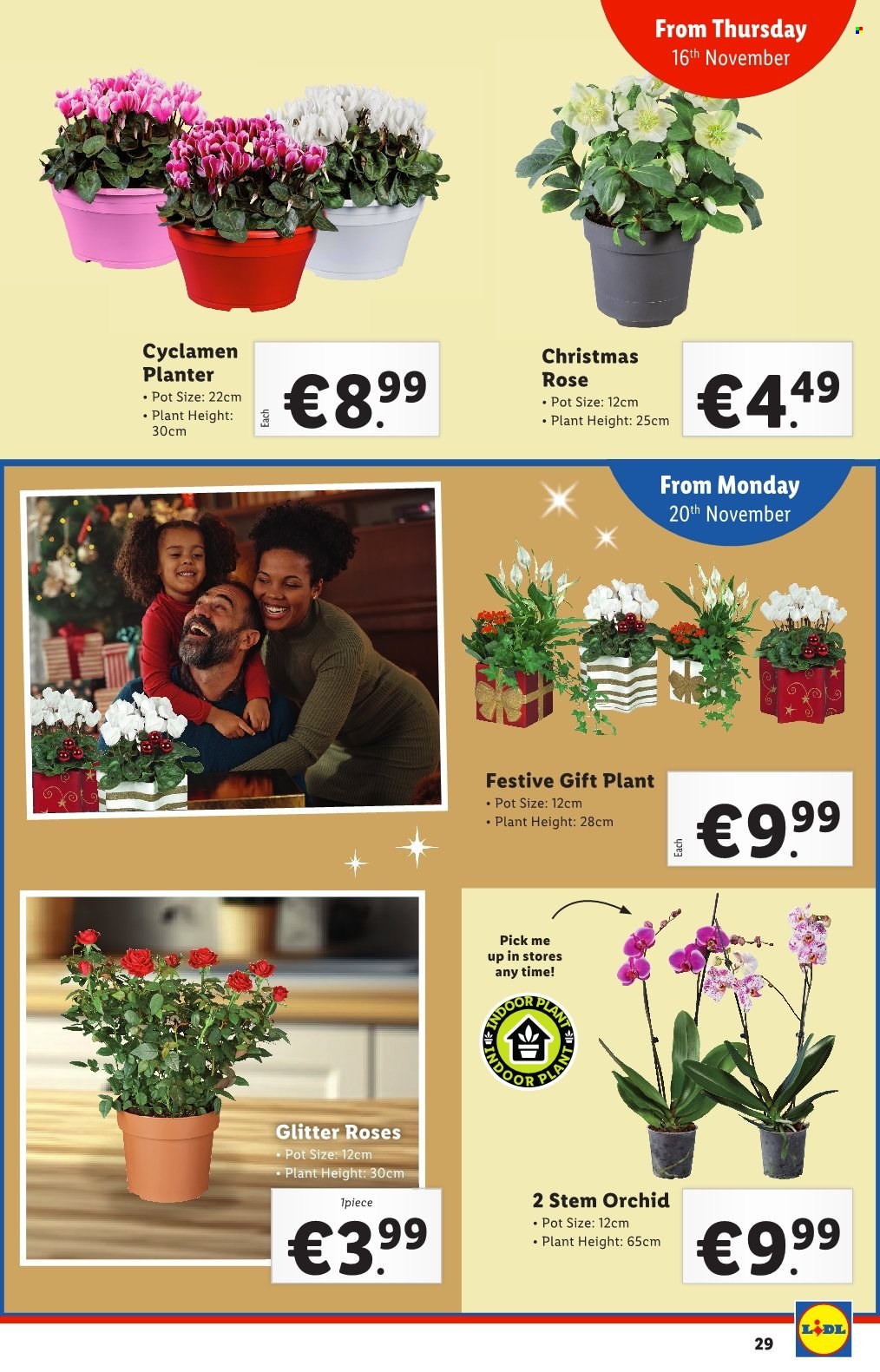 Lidl offer - 16.11.2023 - 22.11.2023. Page 29
