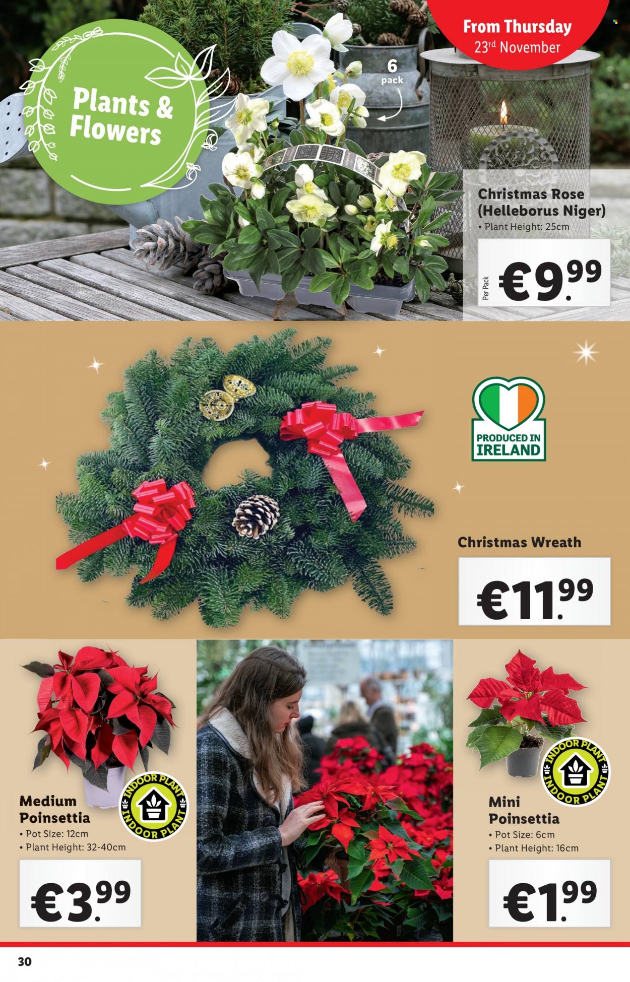 Lidl offer - 23.11.2023 - 29.11.2023. Page 30
