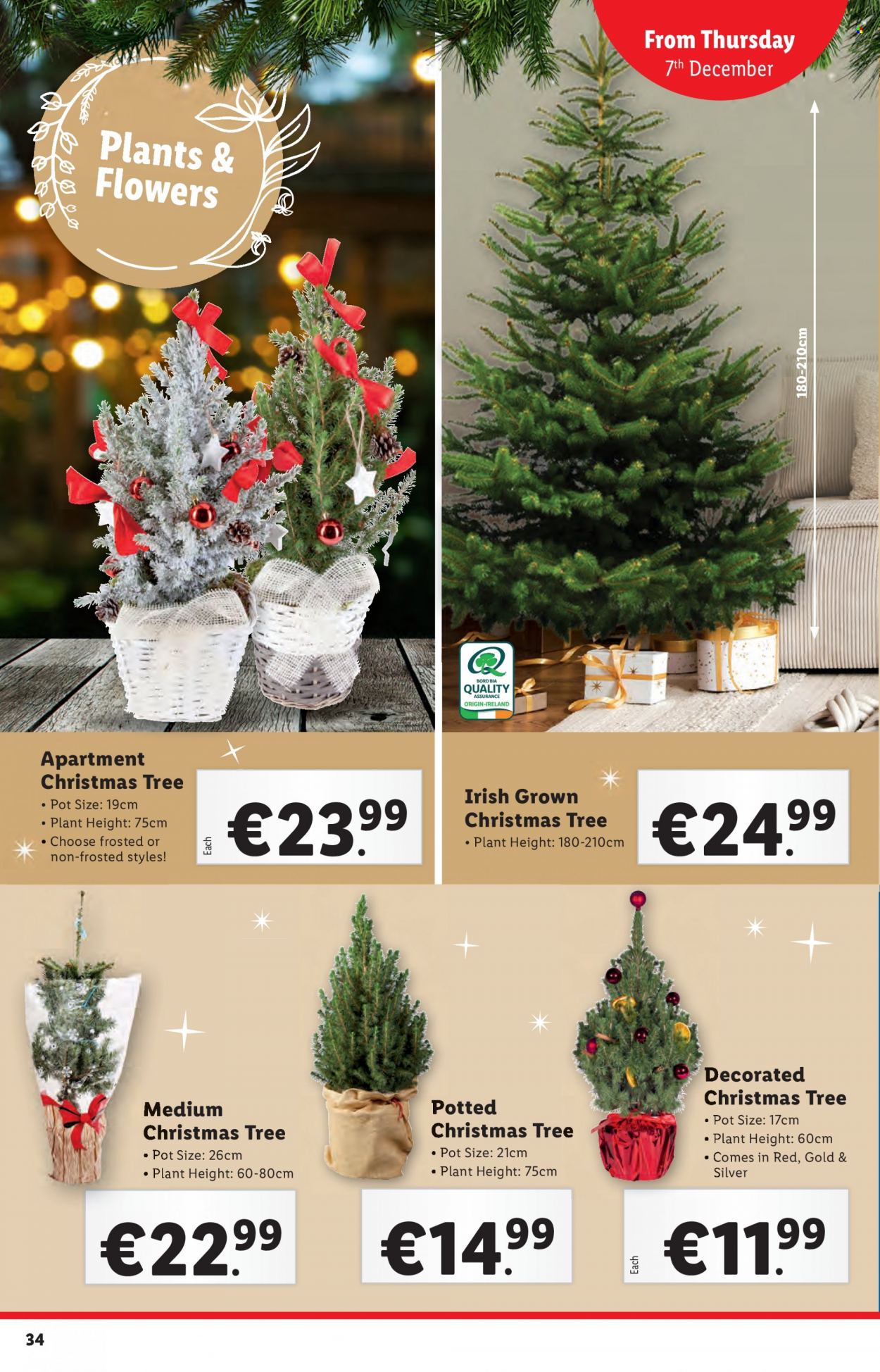 Lidl offer - 07.12.2023 - 13.12.2023. Page 34