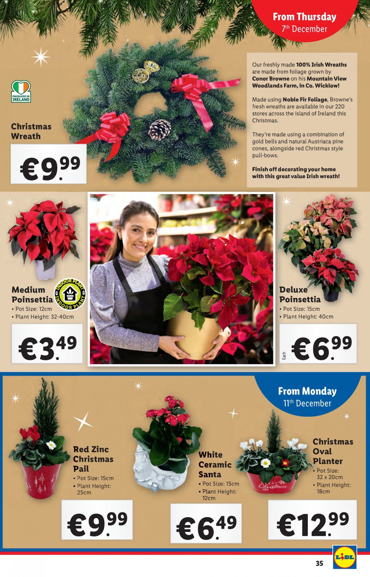 Lidl offer - 07.12.2023 - 13.12.2023. Page 35
