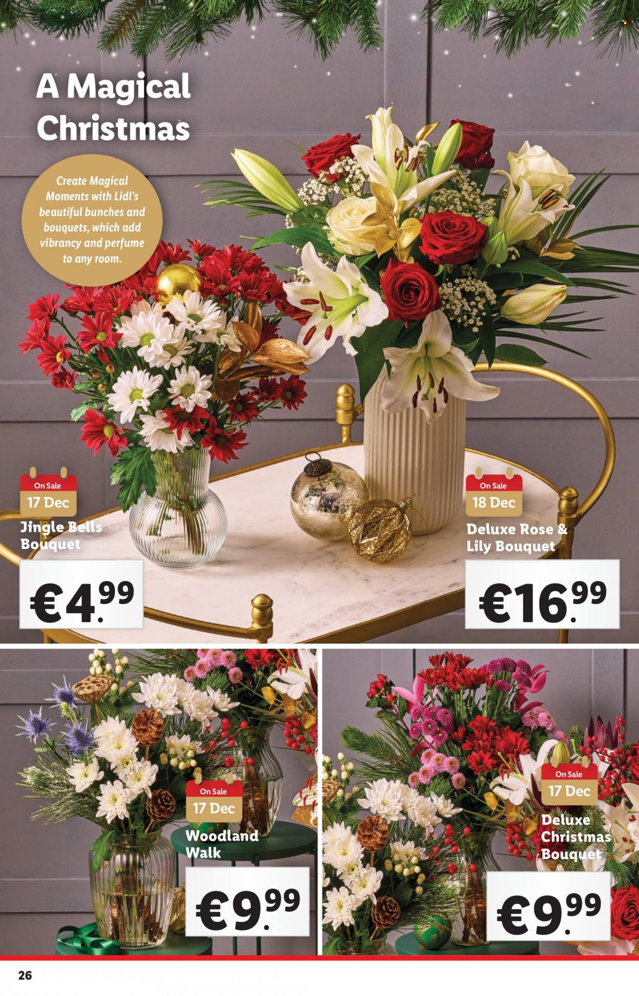Lidl offer - 14.12.2023 - 20.12.2023. Page 26