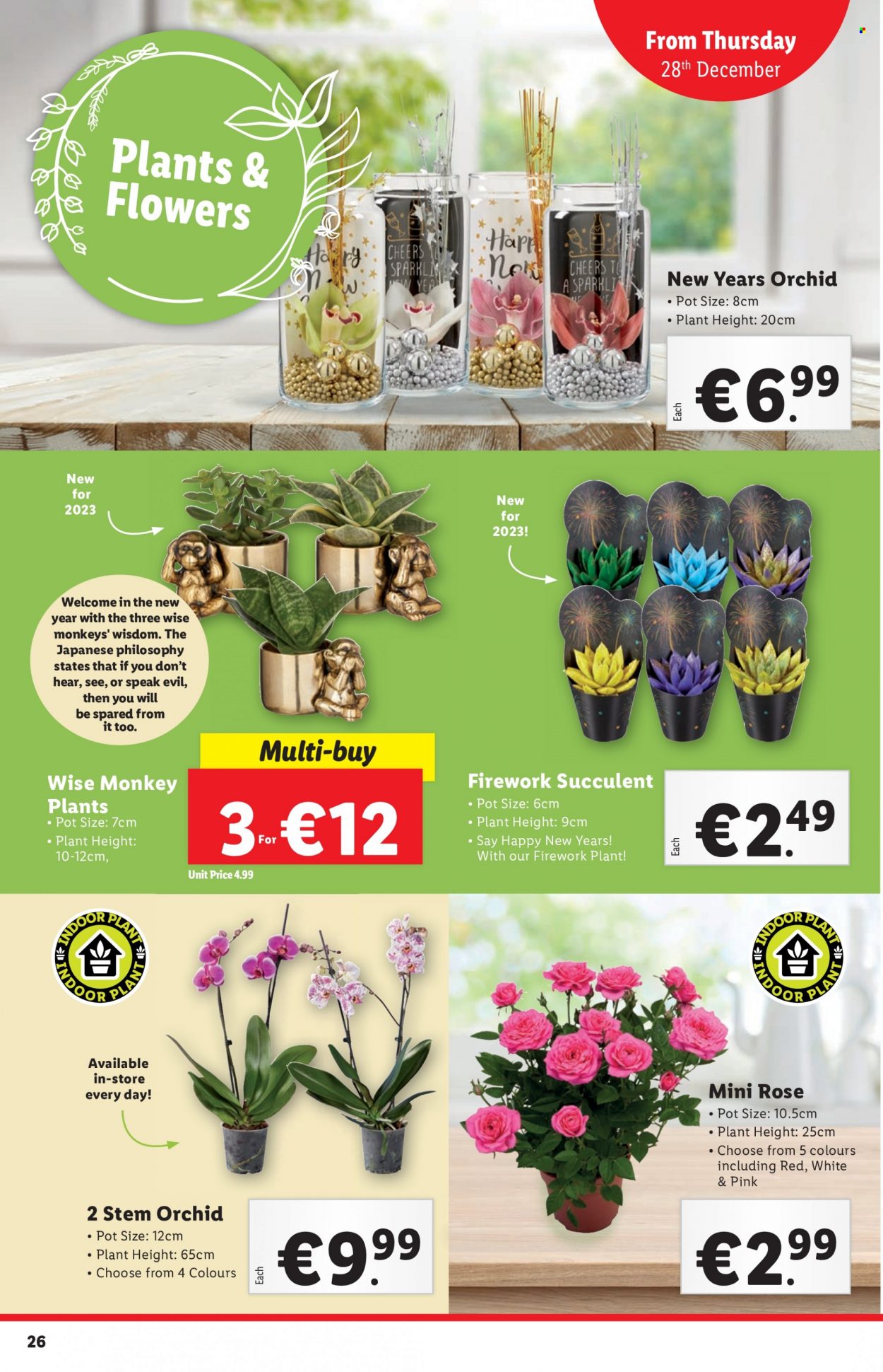 Lidl offer - 28.12.2023 - 03.01.2024. Page 26