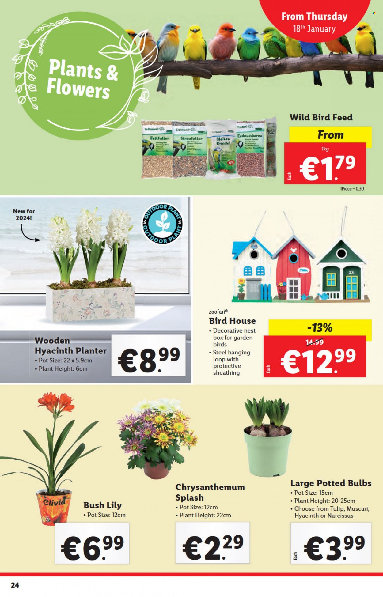 Lidl offer - 18.01.2024 - 24.01.2024. Page 24
