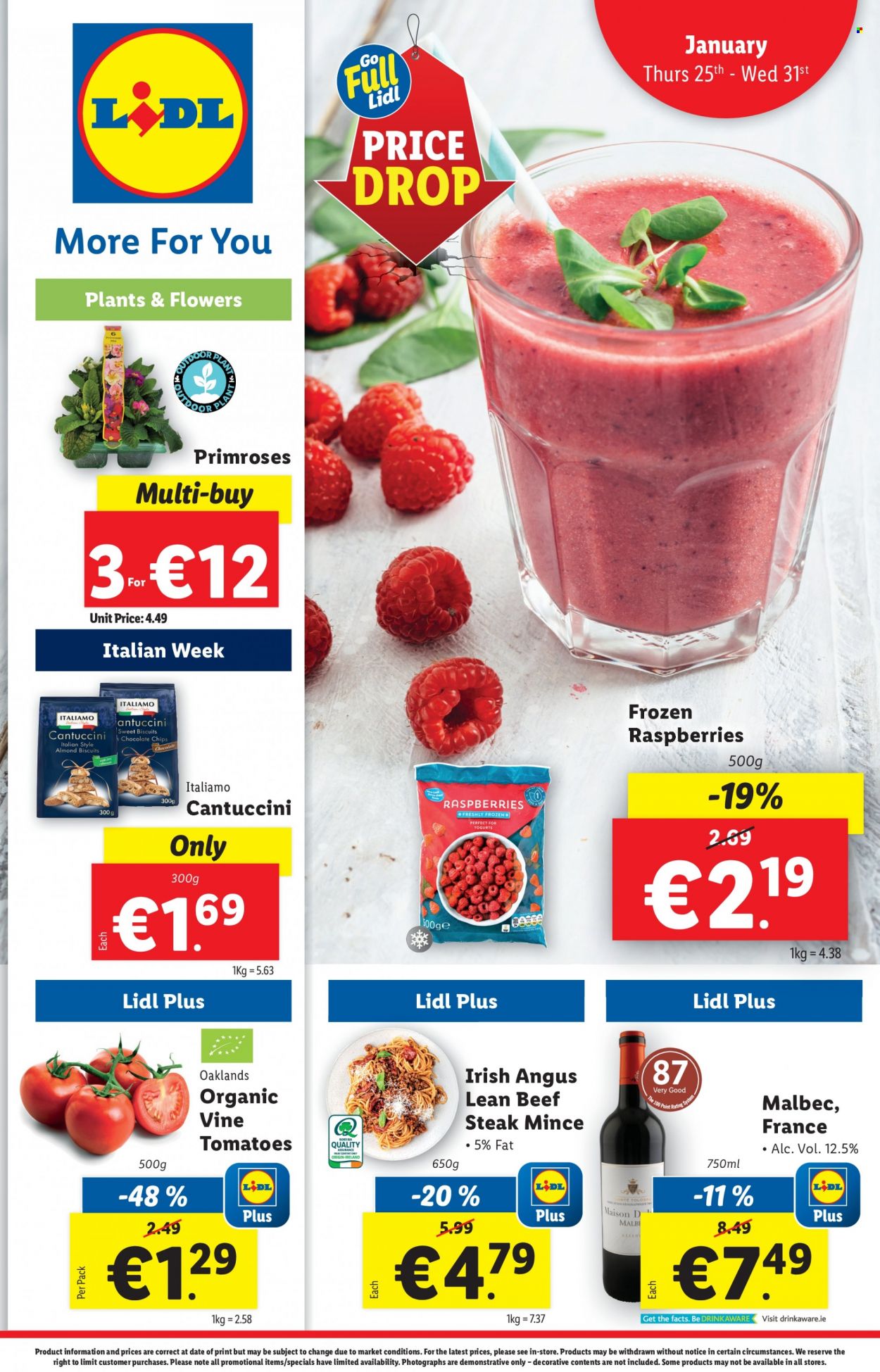 Lidl offer - 25.01.2024 - 31.01.2024. Page 1