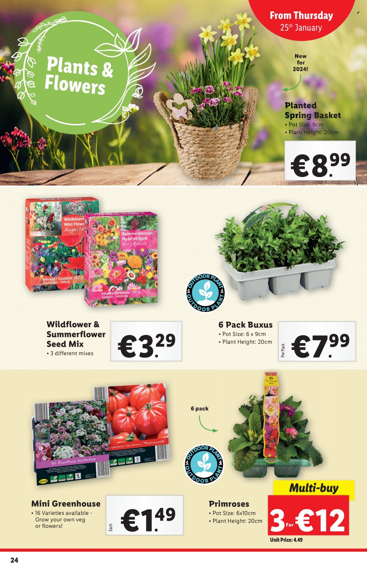 Lidl offer - 25.01.2024 - 31.01.2024. Page 25