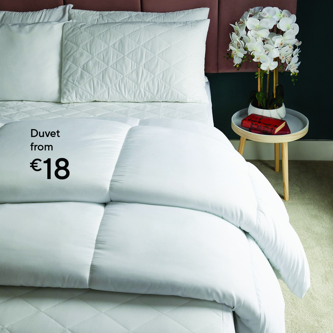 Dunnes Stores offer. Page 10