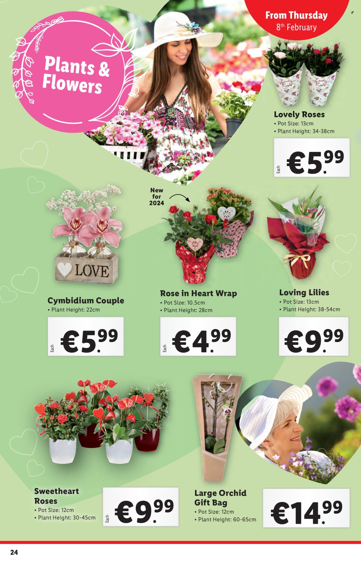 Lidl offer - 08.02.2024 - 14.02.2024. Page 25
