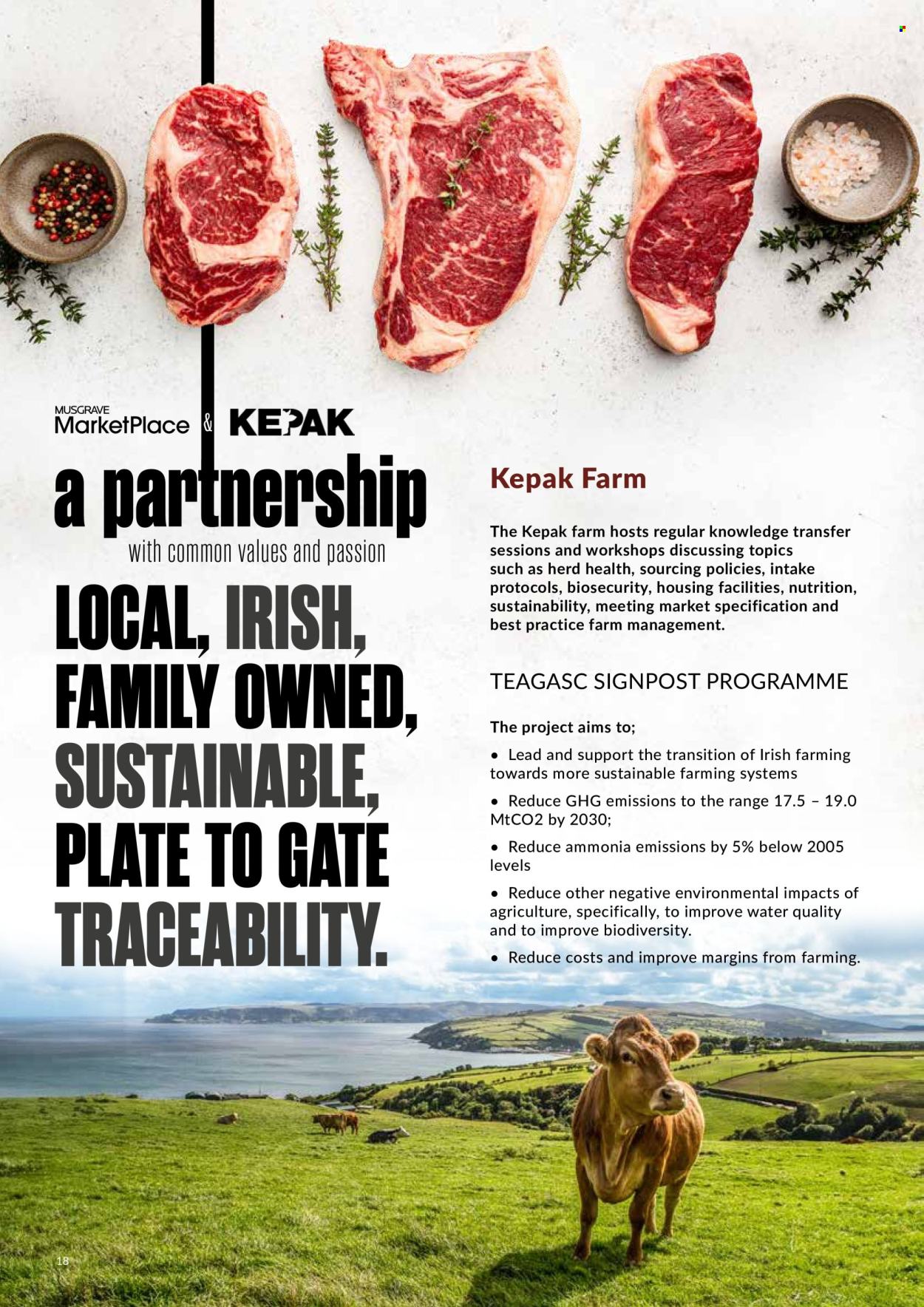 MUSGRAVE Market Place offer - 28.01.2024 - 23.03.2024. Page 18