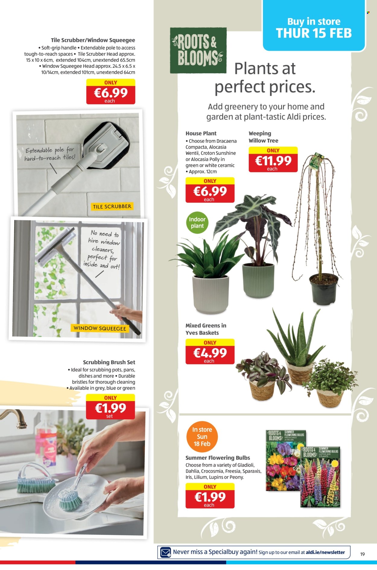 Aldi offer - 15.02.2024 - 21.02.2024. Page 19
