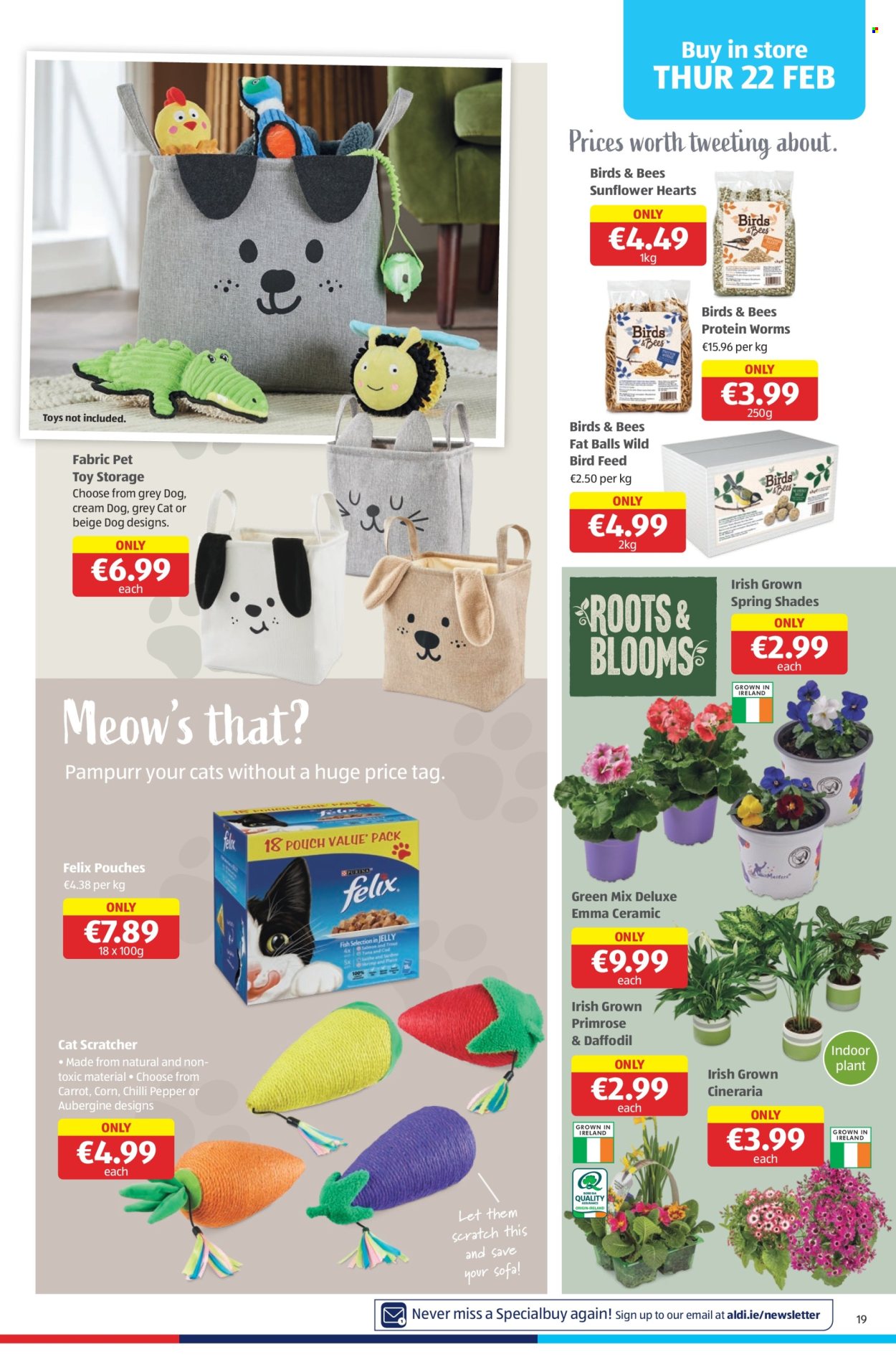 Aldi offer - 22.02.2024 - 28.02.2024. Page 19