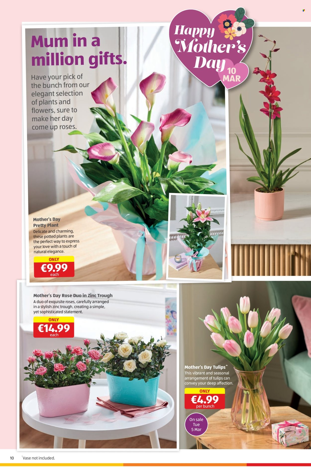 Aldi offer - 07.03.2024 - 13.03.2024. Page 10