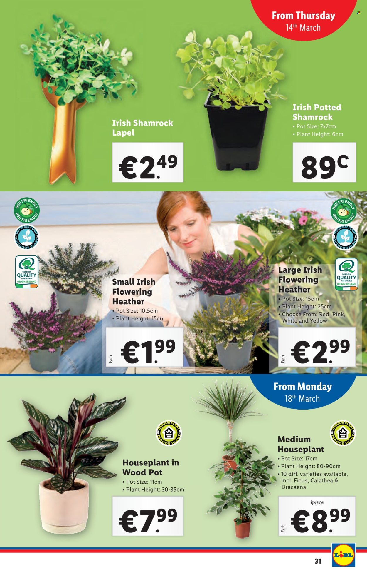 Lidl offer - 14.03.2024 - 20.03.2024. Page 31