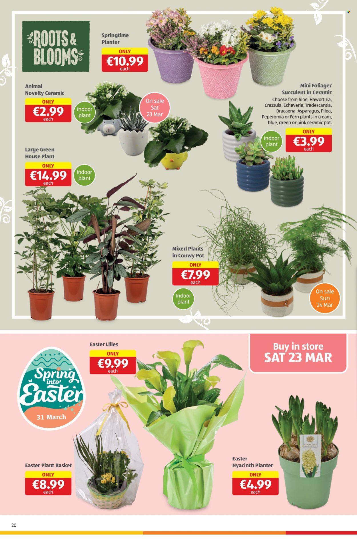 Aldi offer - 21.03.2024 - 27.03.2024. Page 20