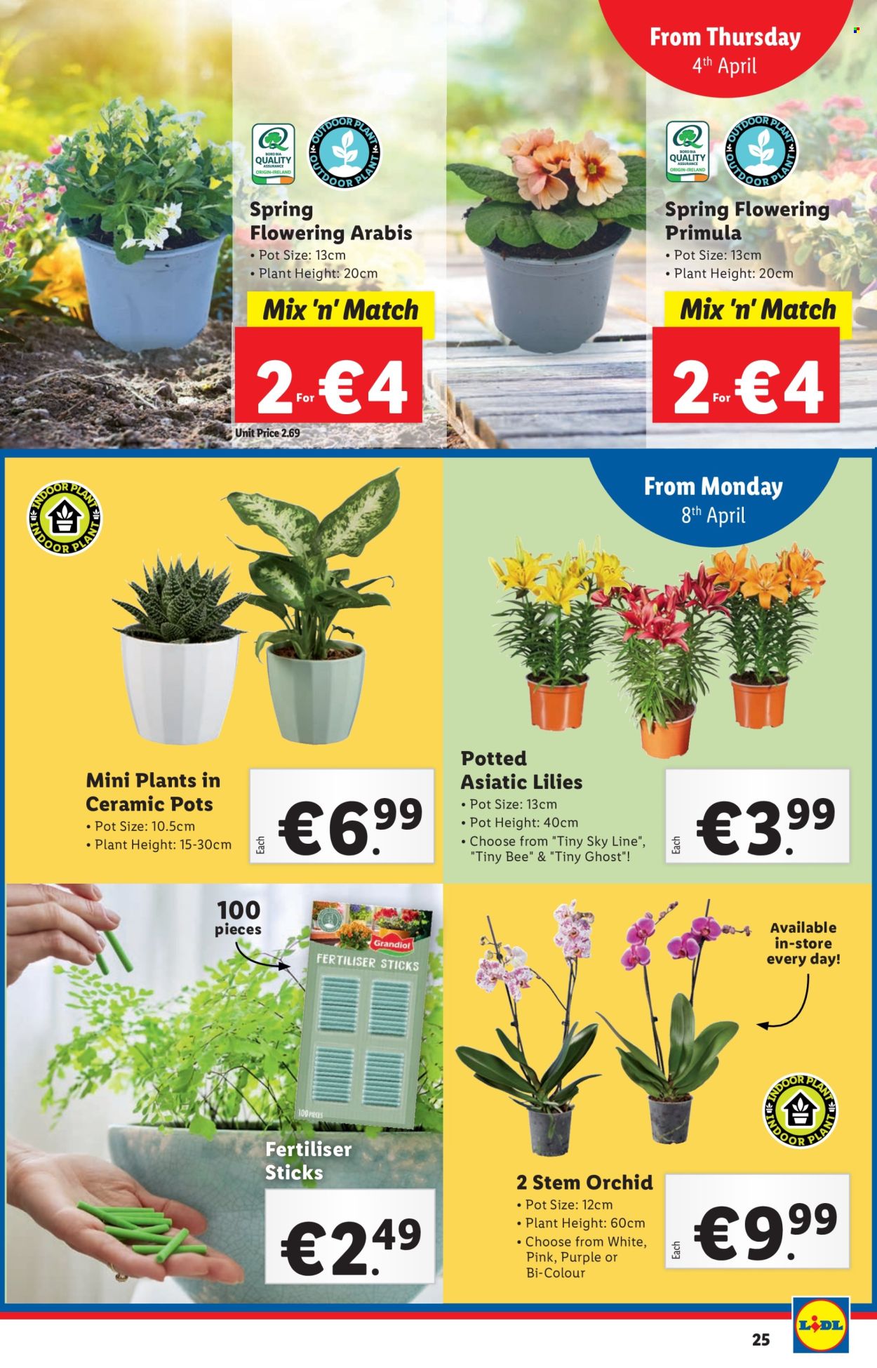Lidl offer - 04.04.2024 - 10.04.2024. Page 25