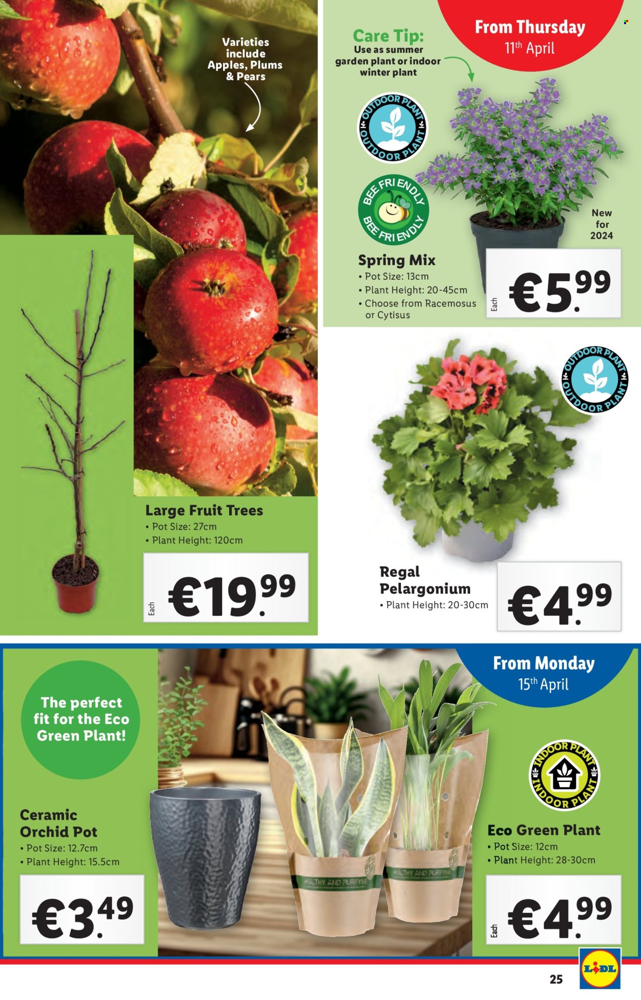 Lidl offer - 11.04.2024 - 17.04.2024. Page 25
