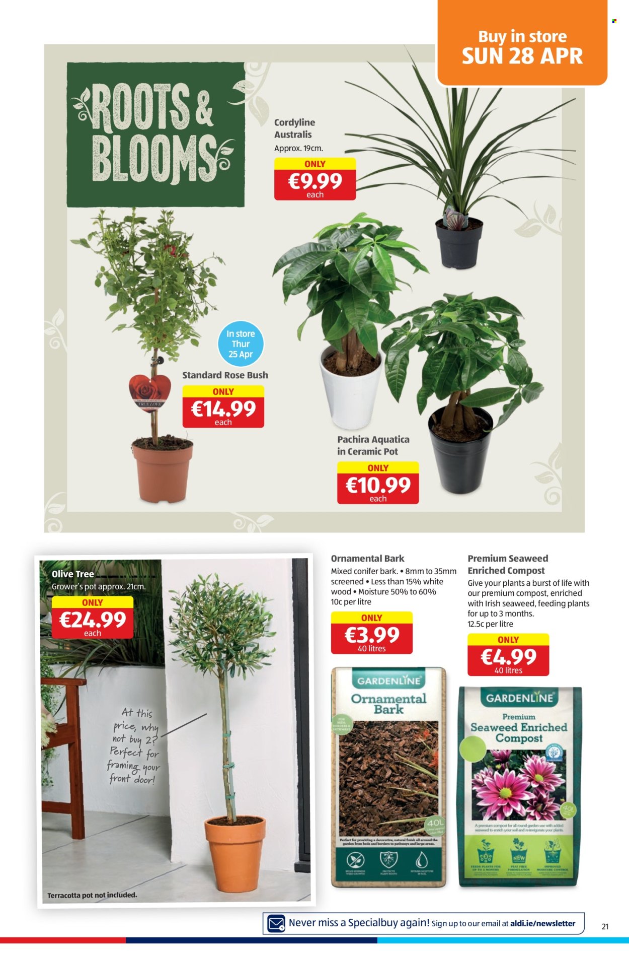 Aldi offer - 25.04.2024 - 01.05.2024. Page 21