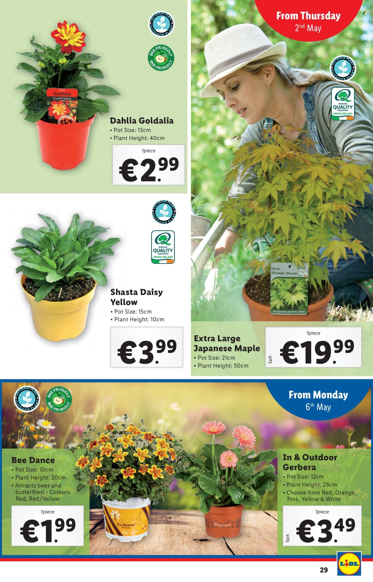 Lidl offer - 02.05.2024 - 08.05.2024. Page 29