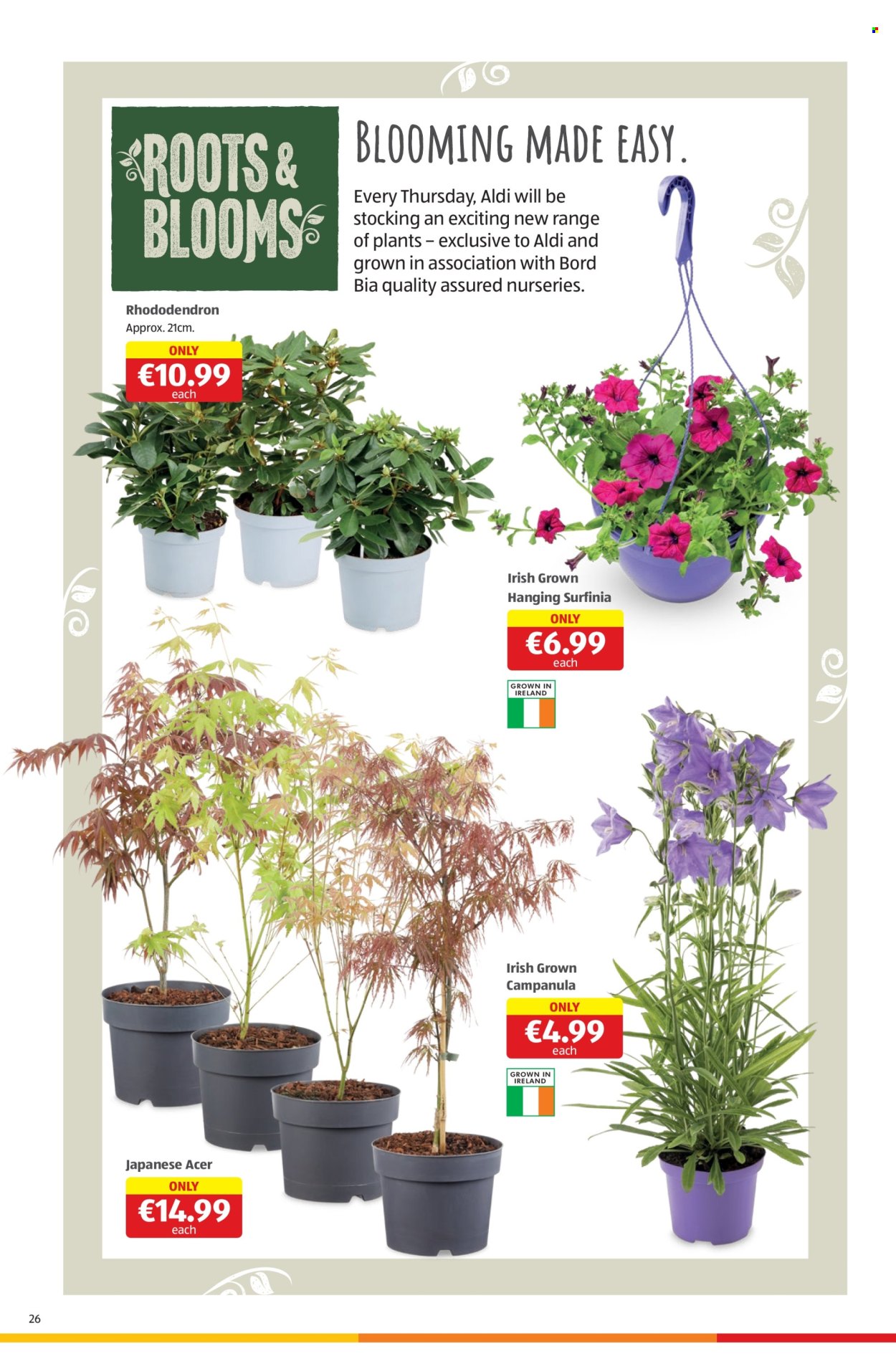Aldi offer - 09.05.2024 - 15.05.2024. Page 26